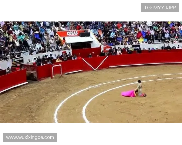 伐木者与休斯敦的激烈对决全场直播精彩瞬间回顾与分析